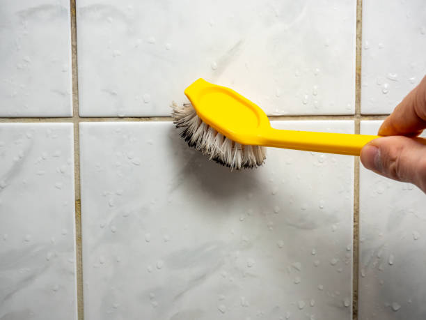 Best Mold Remediation Services  in Churchville, NY