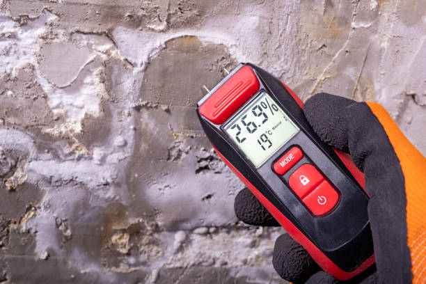 Best Mold Testing and Removal  in Churchville, NY