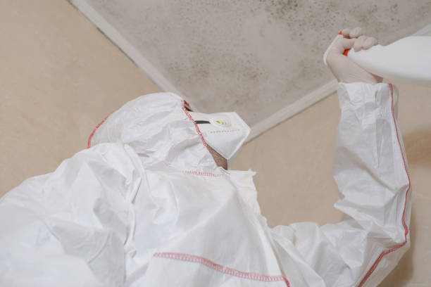 Best Certified Mold Removal  in Churchville, NY